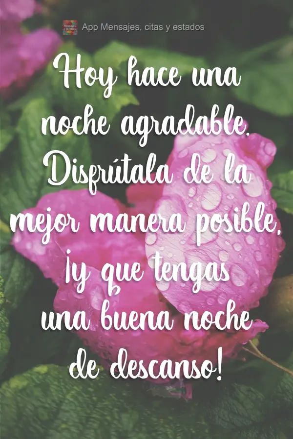 Está uma noite agradável hoje. Desfrute da melhor maneira possível e tenha uma Boa Noite de sono!
