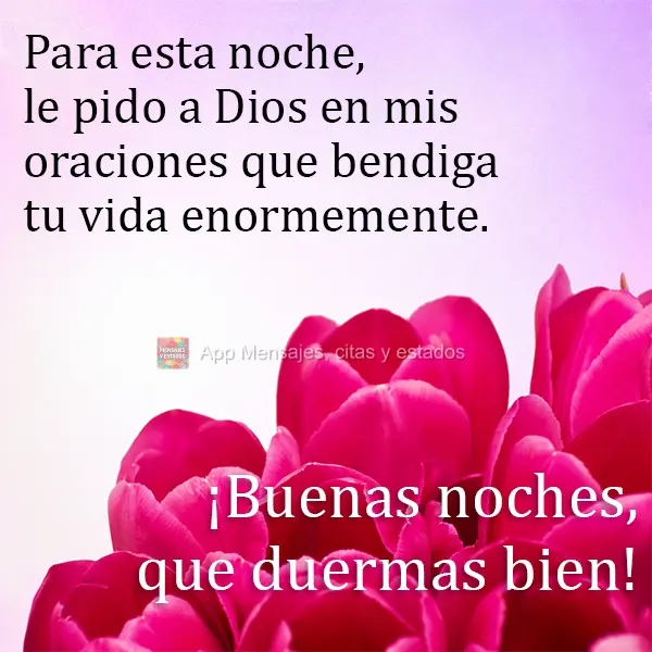 Para esta noche, le pido a Dios en mis oraciones que bendiga tu vida enormemente. ¡Buenas noches, que duermas bien!