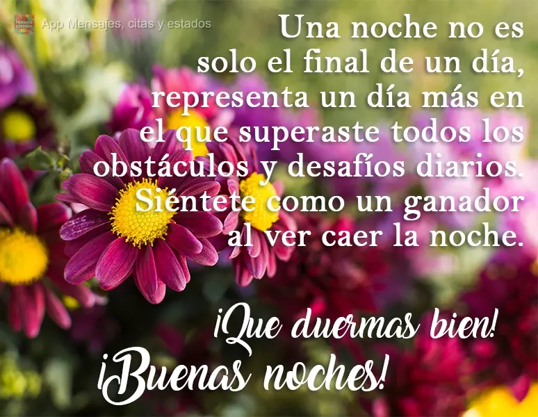 Uma noite não é apenas o final de um dia, é mais um dia que você venceu todos os seus obstáculos e seus desafios diários. Sinta-se um vencedor por ...