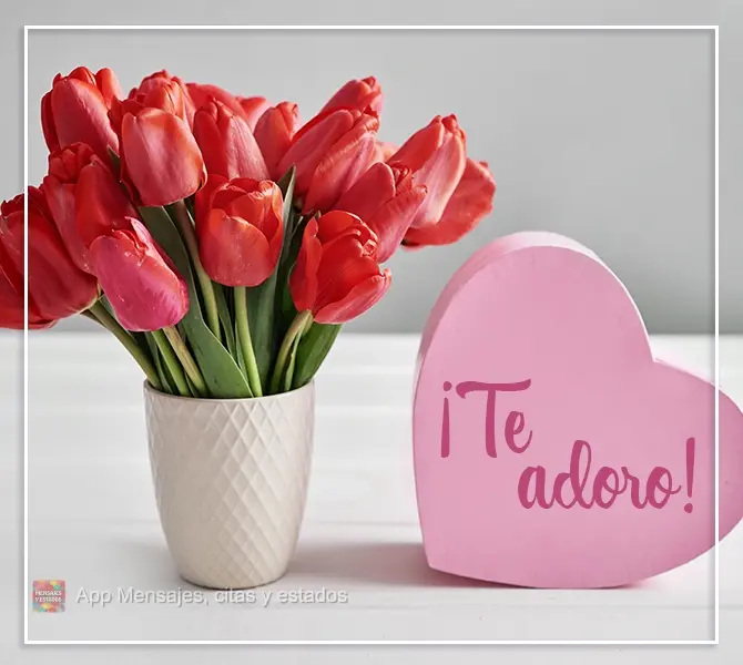 ¡Te adoro!