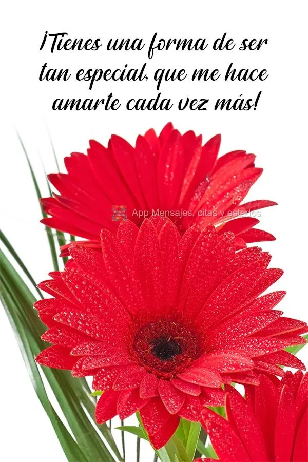 ¡Tienes una forma de ser tan especial, que me hace amarte cada vez más!