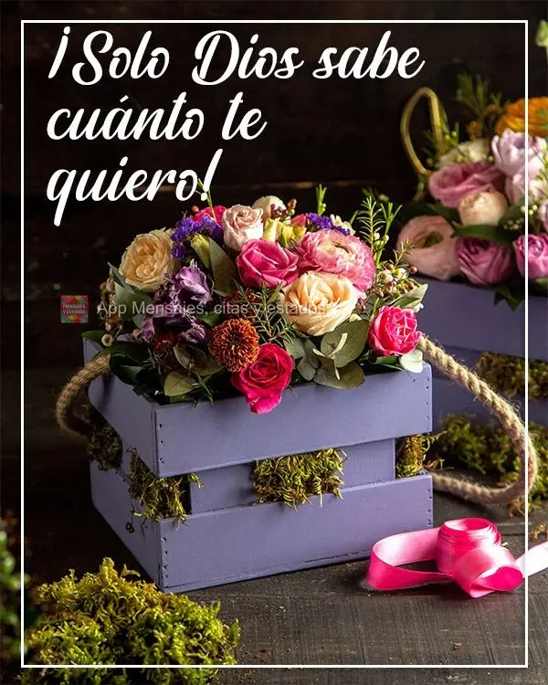 ¡Solo Dios sabe cuánto te quiero!