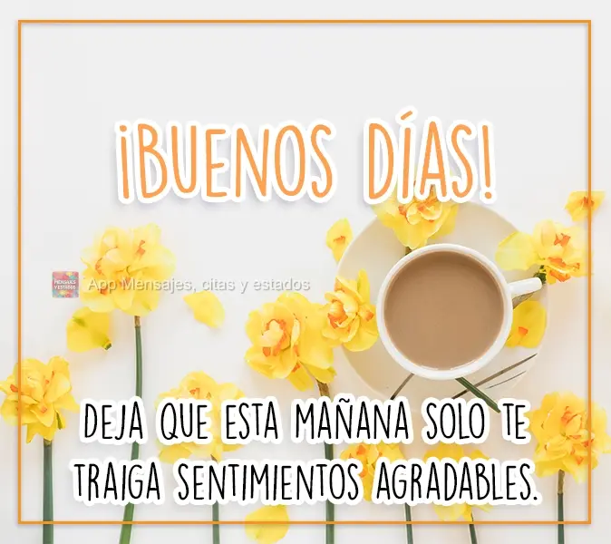 Deixe que esta manhã lhe traga apenas sentimentos agradáveis.
 Bom dia!