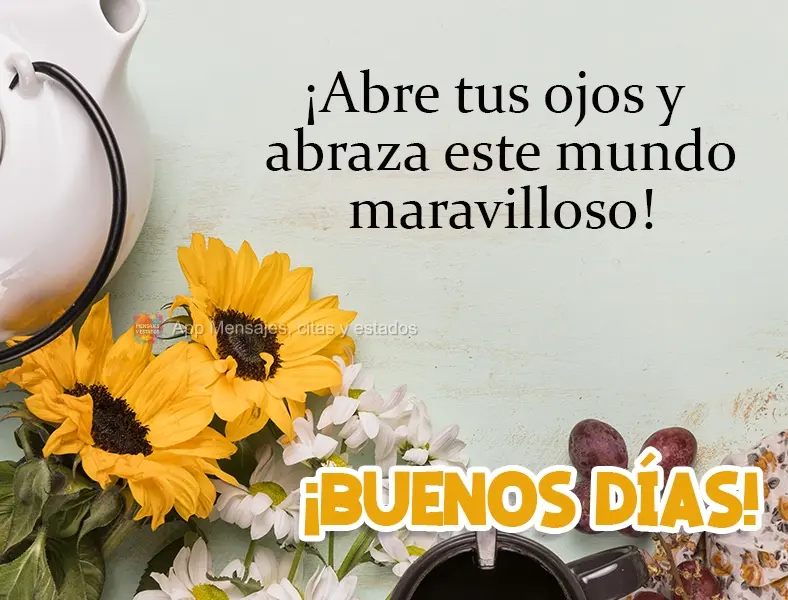 Abra seus olhos e abrace este mundo maravilhoso!  Bom Dia!