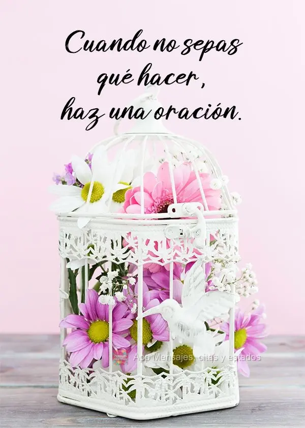 Cuando no sepas qué hacer, haz una oración.