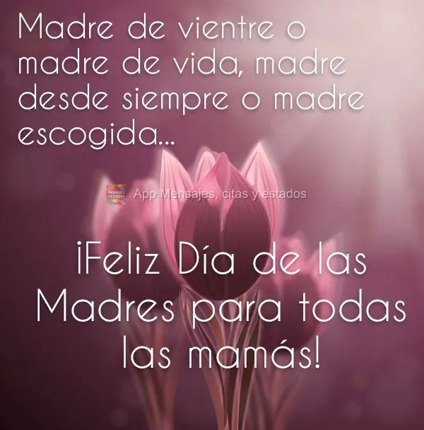 Madre de vientre o madre de vida, madre desde siempre o madre escogida... ¡Feliz Día de las Madres para todas las mamás!