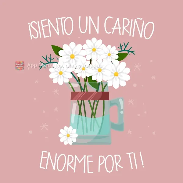 ¡Siento un cariño enorme por ti!