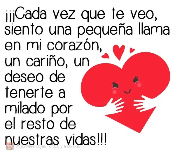 Toda vez que te vejo, sinto uma pequena chama no meu coração, um carinho, um desejo de ter você ao meu lado o resto de nossas vidas!!!
