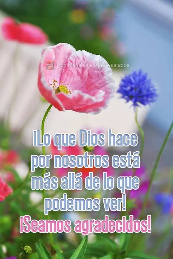 ¡Lo que Dios hace por nosotros está más allá de lo que podemos ver! ¡Seamos agradecidos!