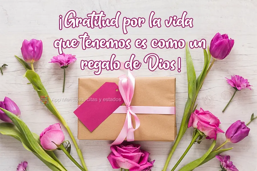 ¡Gratitud por la vida que tenemos es como un regalo de Dios!