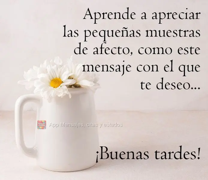 Aprenda a apreciar os pequenos gestos de afeto como essa mensagem de Boa Tarde!
