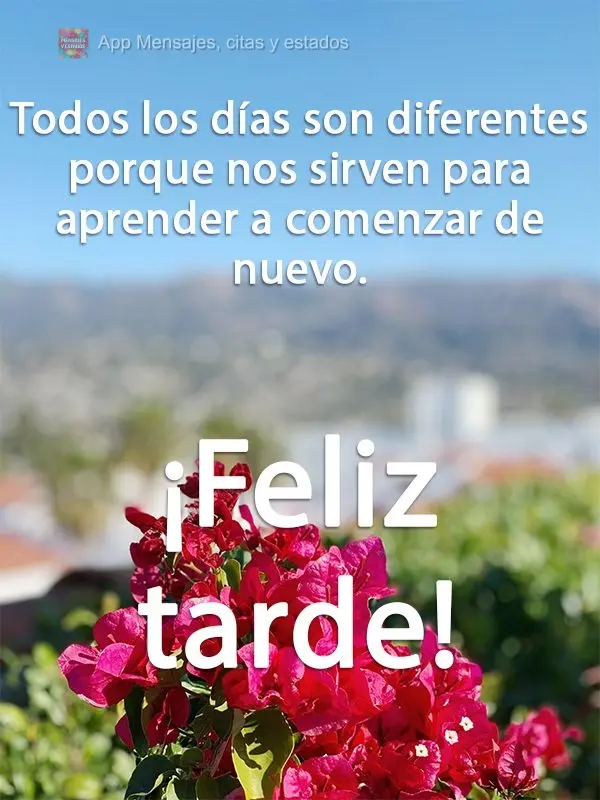 Todos os dias são diferentes, porque são para aprender a recomeçar.  Boa Tarde!