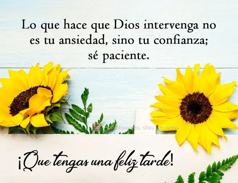 Deus não age na tua ansiedade, Ele opera na tua confiança, tenha paciência!
 Boa Tarde para você!