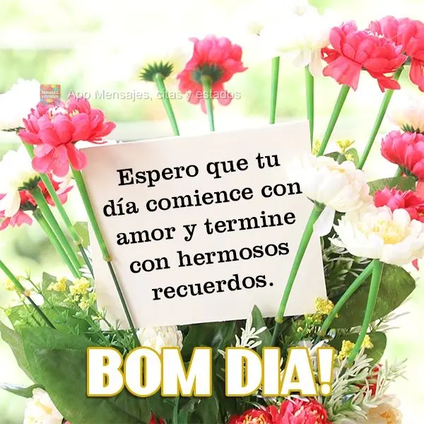 Espero que tu día comience con amor y termine con hermosos recuerdos. ¡Buenos días!