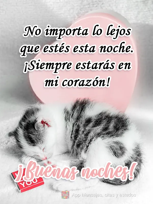 Não importa o quão longe você esteja essa noite. Você estará sempre em meu coração! 
 Boa Noite!