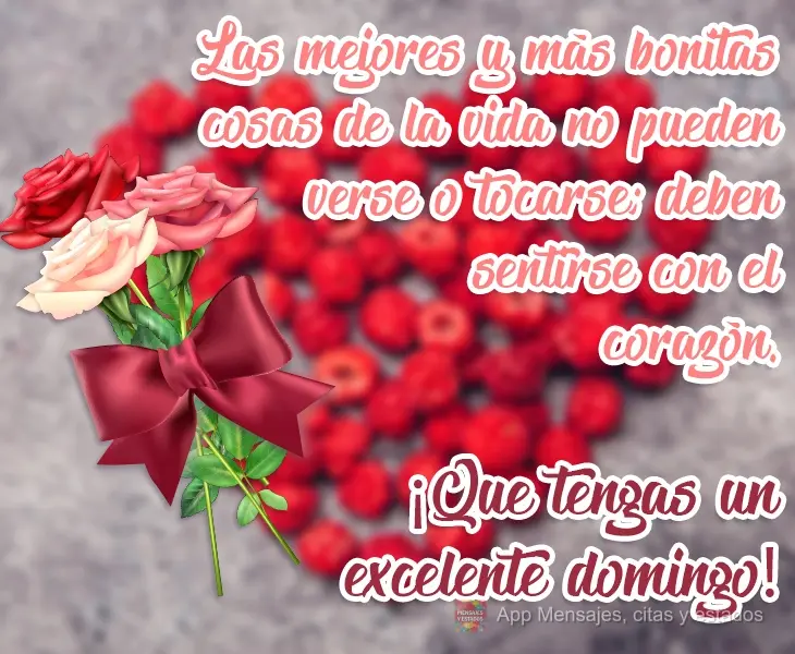 Las mejores y más bonitas cosas de la vida no pueden verse o tocarse; deben sentirse con el corazón. ¡Que tengas un excelente domingo!