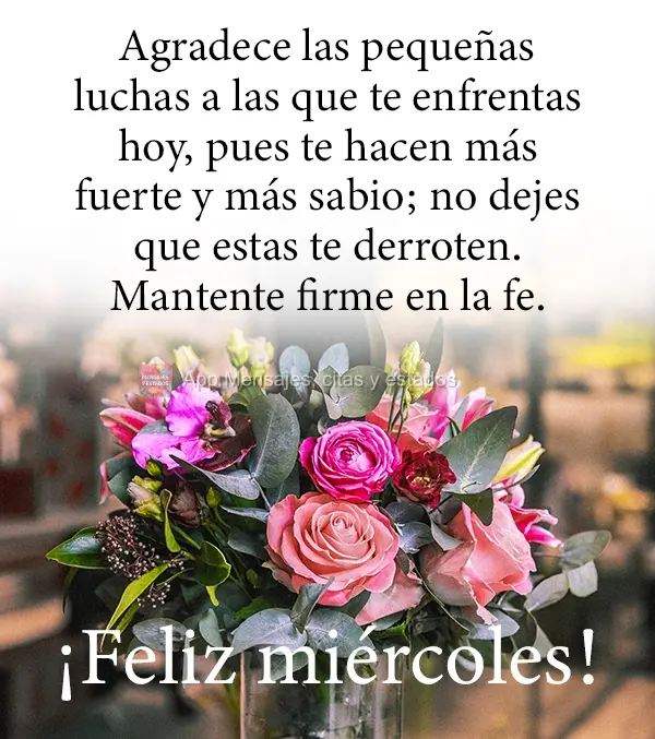 Agradece las pequeñas luchas a las que te enfrentas hoy, pues te hacen más fuerte y más sabio; no dejes que estas te derroten. Mantente firme en la fe...