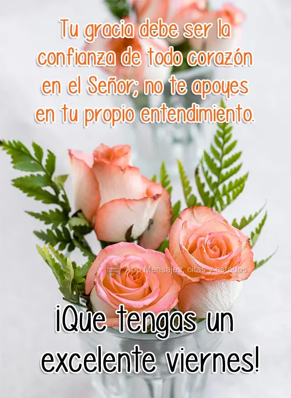 Tu gracia debe ser la confianza de todo corazón en el Señor; no te apoyes en tu propio entendimiento. ¡Que tengas un excelente viernes!