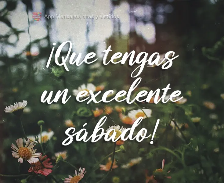 Tenha um ótimo Sábado!
