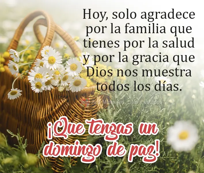 Hoje apenas agradeça pela família que tem, pela saúde e pelas graças que Deus nos dá todos os dias. 
 Tenha um Domingo de paz!