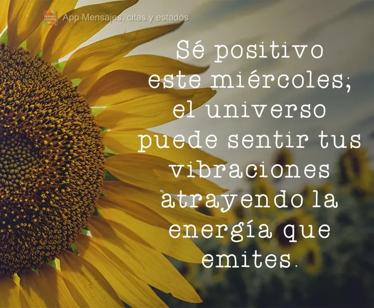 Sé positivo este miércoles; el universo puede sentir tus vibraciones atrayendo la energía que emites.