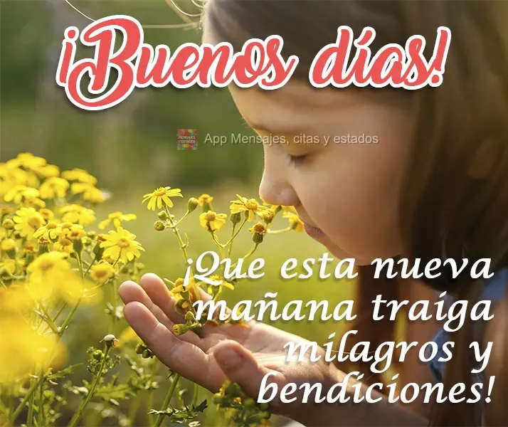 Que esta nova manhã traga milagres e bênçãos!
 Bom dia! 