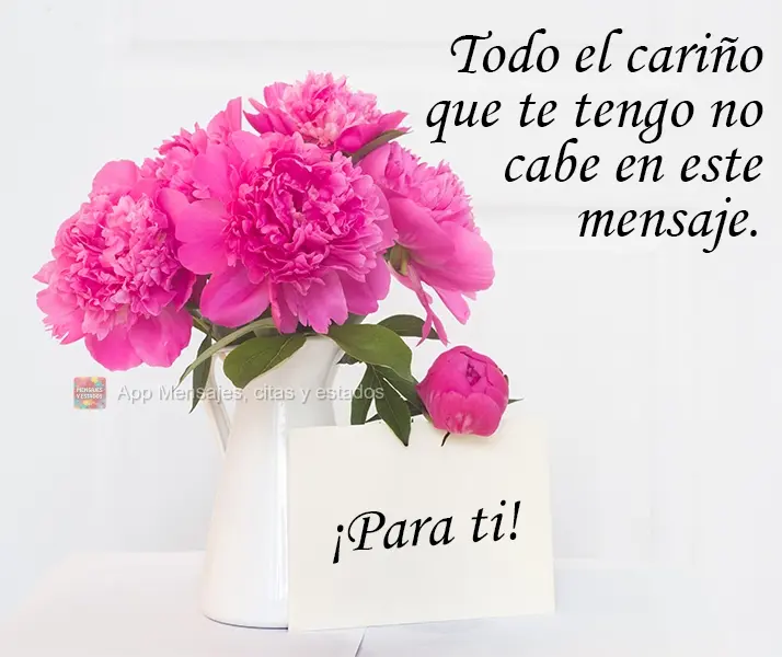 Todo el cariño que te tengo no cabe en este mensaje. ¡Para ti!