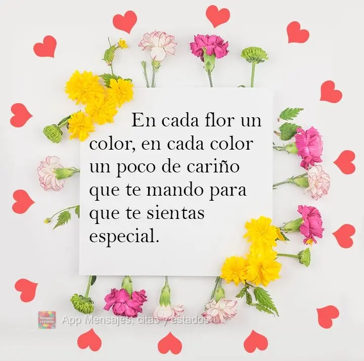 En cada flor un color, en cada color un poco de cariño que te mando para que te sientas especial.