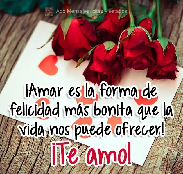 Amar é uma forma de felicidade mais linda que a vida pode nos oferecer! 
 Eu te Amo!