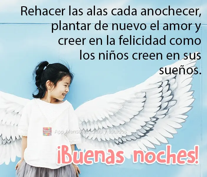 Refazer as asas a cada anoitecer, plantar de novo o amor e acreditar na felicidade como as crianças acreditam em seus sonhos. 
 Boa Noite!
