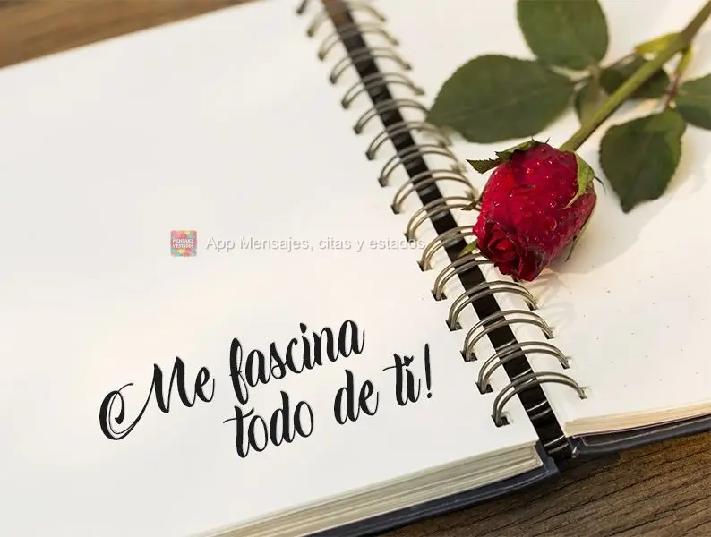 ¡Me fascina todo de ti!