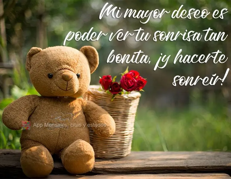 Mi mayor deseo es poder ver tu sonrisa tan bonita, ¡y hacerte sonreír!