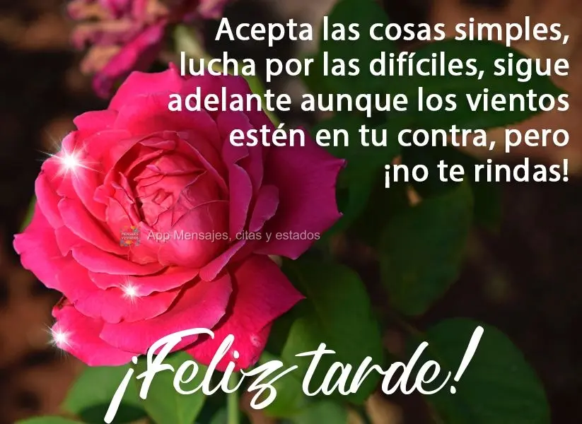 Acepta las cosas simples, lucha por las difíciles, sigue adelante aunque los vientos estén en tu contra, pero ¡no te rindas! ¡Feliz tarde!