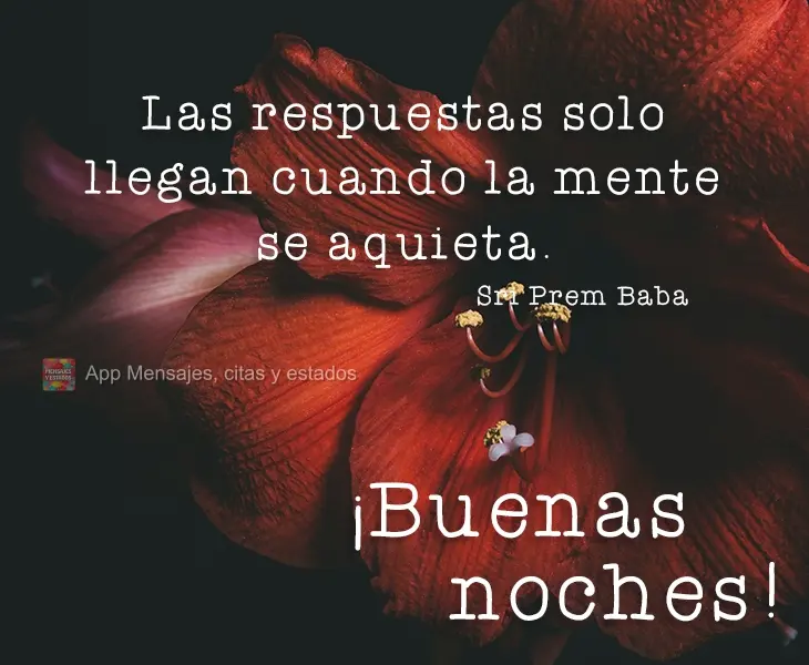 As respostas só chegam quando a mente se aquieta.  Boa Noite! Sri Prem Baba. 
