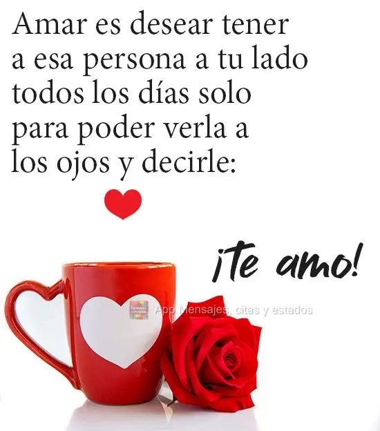 Amar es desear tener a esa persona a tu lado todos los días solo para poder verla a los ojos y decirle: ¡Te amo!