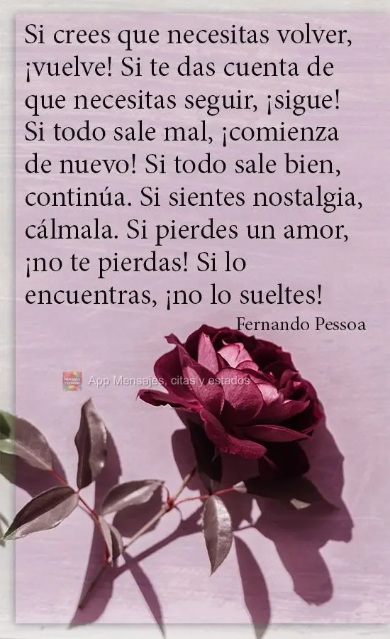 Si crees que necesitas volver, ¡vuelve! Si te das cuenta de que necesitas seguir, ¡sigue! Si todo sale mal, ¡comienza de nuevo! Si todo sale bien, con...