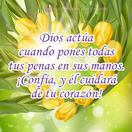 Dios actúa cuando pones todas tus penas en sus manos. ¡Confía, y él cuidará de tu corazón!