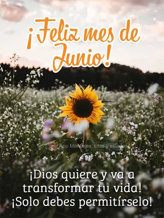 Deus quer e vai transformar sua vida! É só você permitir!
 Feliz Junho!