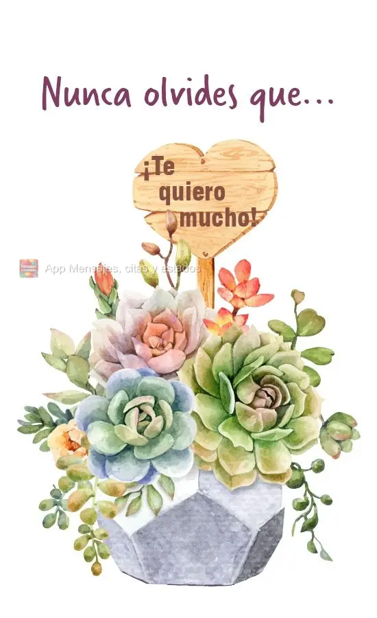 Nunca olvides que... ¡te quiero mucho!