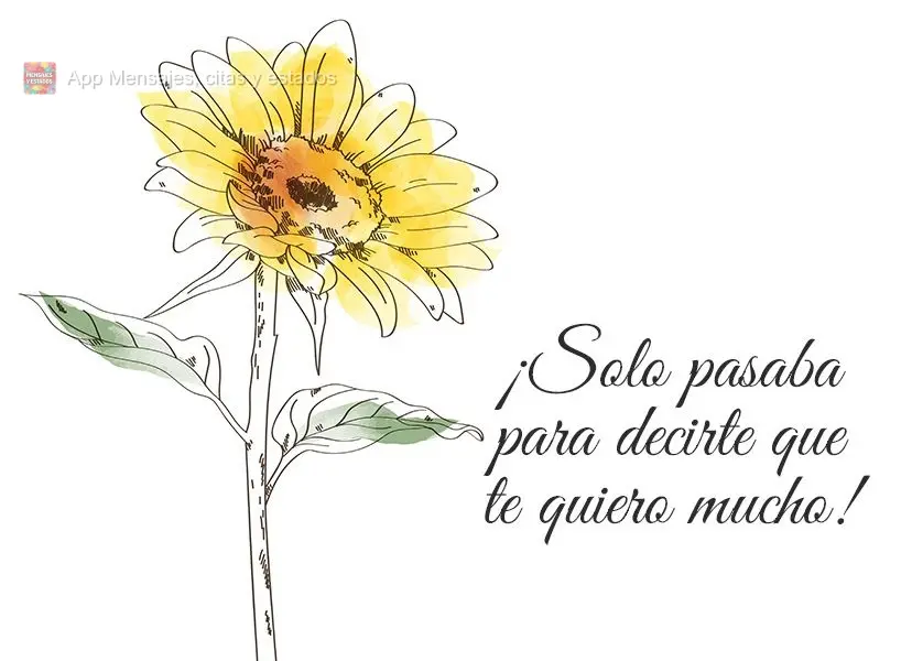 ¡Solo pasaba para decirte que te quiero mucho!