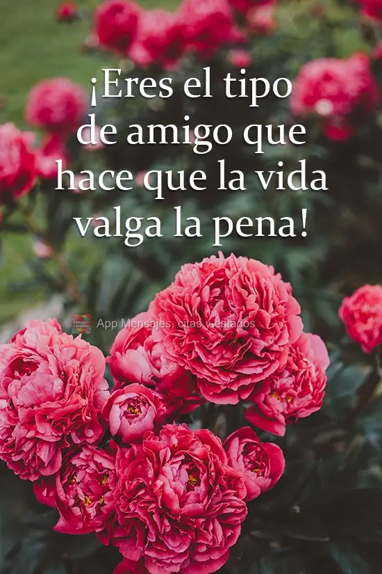 ¡Eres el tipo de amigo que hace que la vida valga la pena!