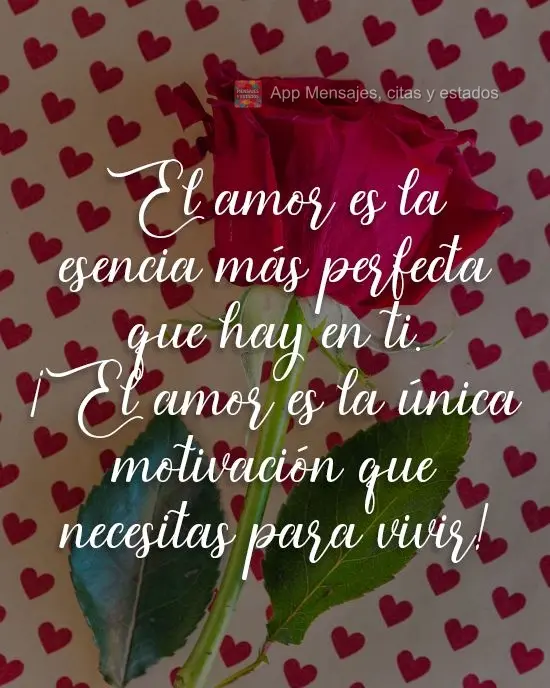 El amor es la esencia más perfecta que hay en ti. ¡El amor es la única motivación que necesitas para vivir!