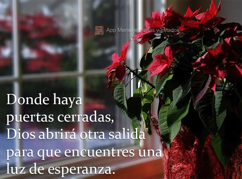 Onde houver portas fechadas, Deus abrirá uma segunda saída para que você encontre uma luz de esperança.
