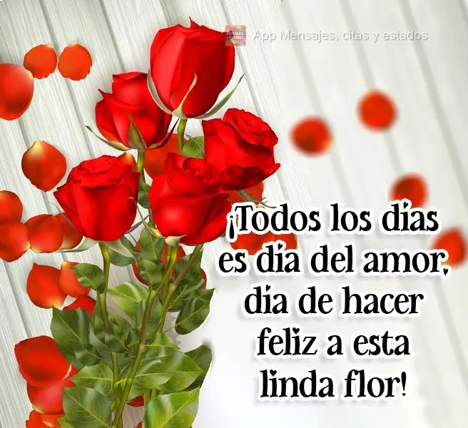 ¡Todos los días es día del amor, día de hacer feliz a esta linda flor!
