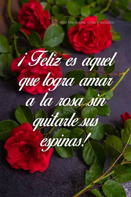 Feliz é aquele que consegue amar a rosa sem tirar seus espinhos!
