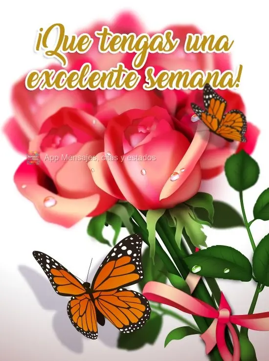 ¡Que tengas una excelente semana!