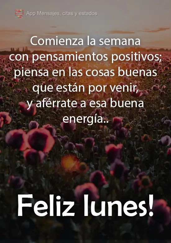 Comienza la semana con pensamientos positivos; piensa en las cosas buenas que están por venir, y aférrate a esa buena energía. ¡Feliz lunes!
