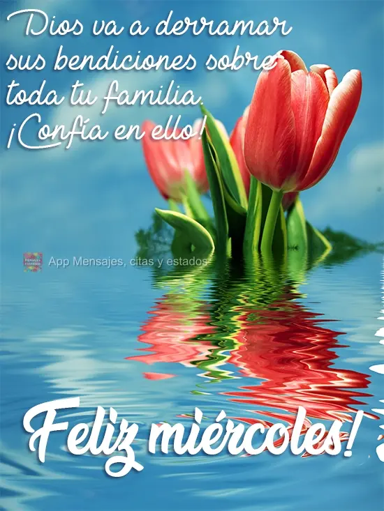 Dios va a derramar sus bendiciones sobre toda tu familia. ¡Confía en ello! ¡Feliz miércoles!