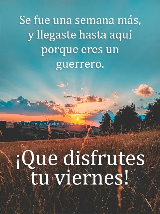 Mais uma semana se foi e você chegou até aqui, porque você é um guerreiro. 
 Aproveite sua Sexta-feira!