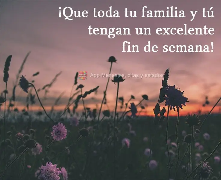 ¡Que toda tu familia y tú tengan un excelente fin de semana!